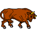 Bull 13b
