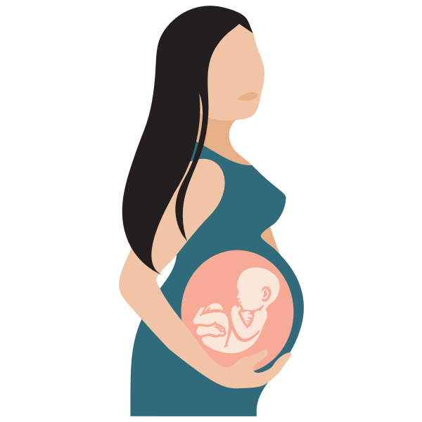 Pregnant Woman With See Through Belly Illustration Free SVG