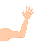 Vector illustration of thin male arm
