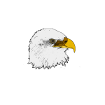 Eagle vector art