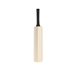 Cricket bat vector image