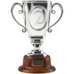Silver cup 3