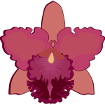 Cattleya