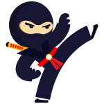 Fighting Ninja