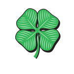 Green shamrock symbol