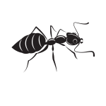 Ant  silhouette clip art