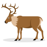 Deer animal elk