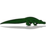 Crocodile (more detailed version)