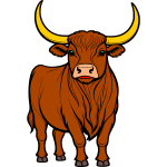 Bull 12b