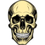 Skull 1b