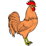 Cock 2b