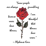 Rose with text