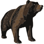 Vector image of huge brown bear