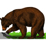 Colored bear on a walk vector illustration