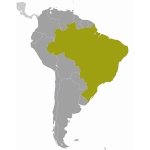 Brazil location map vector drawing