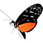 Butterfly light