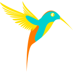 Colorful colibri