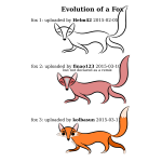 Evolution of a Fox