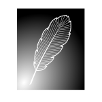 Inverted feather image