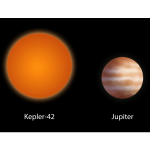 Kepler 42 and Jupiter