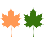 Orange and green maple leaves vector drawing