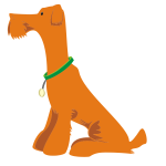 Orange dog sitting