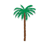 Palm Tree 2015060934