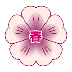 Cherry blossom sakura
