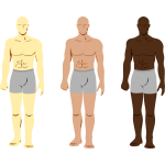 Vector drawing of three masculine men characters