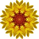 SunflowerKaleidoscope17