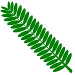 TJ Openclipart 27 mimosa leaf 9 3 16 final