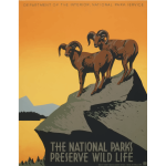 National parks tourism poster