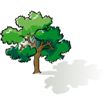 Vector clip art of colored oak tree
