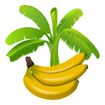 Colourful banana plant with fruits below graphics