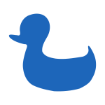 blue duck