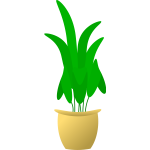 Illustration of large leafed plant in pot
