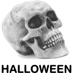 Halloween skull vector image