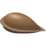 Vector image of apple seed