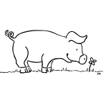 Pig and a flower