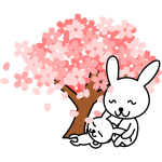 Vector illustration of cherry blossoms rabbit
