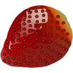 Strawberry fruit (#3)