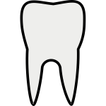 Tooth line art vector clip art