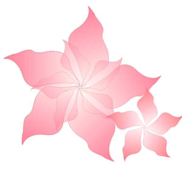 Pink flower-1572774071