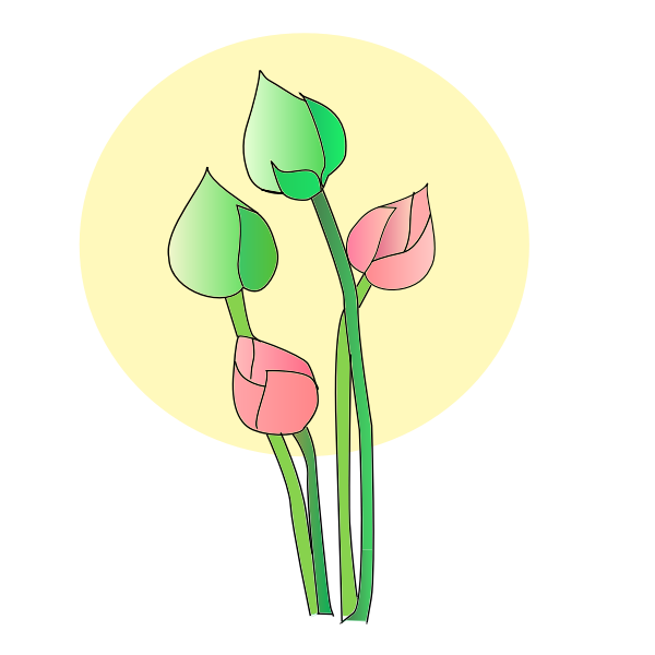 Tulip flower vector