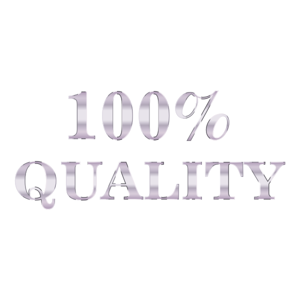 100 Percent Quality Typography Silver No Background