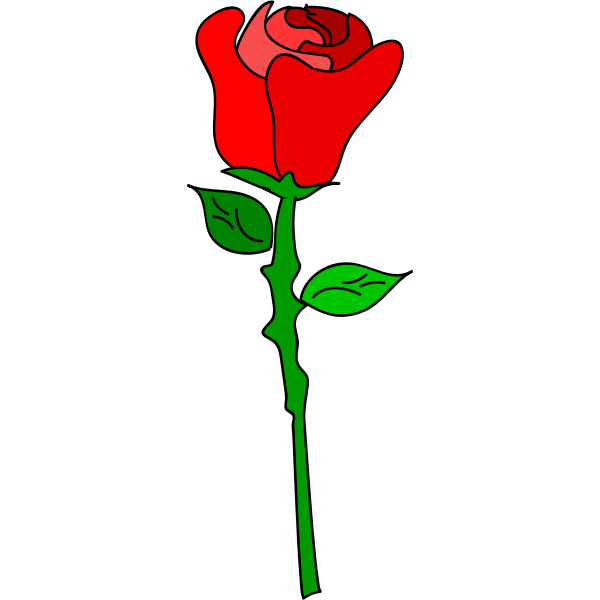 Vector graphics of coloured rose