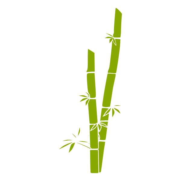 Bamboo-1574241502