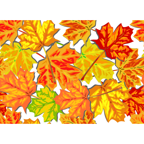 Bright fall leaves vector graphics