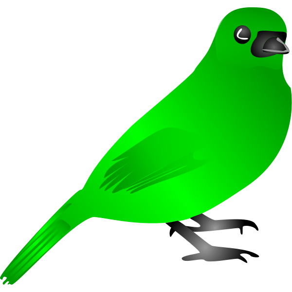 Green bird vector drawing