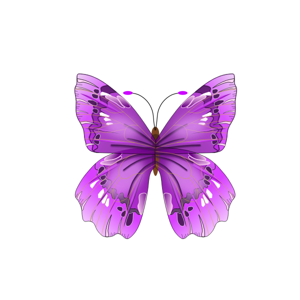 Beautiful purple butterfly | Free SVG